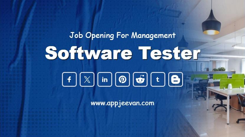 Software Tester